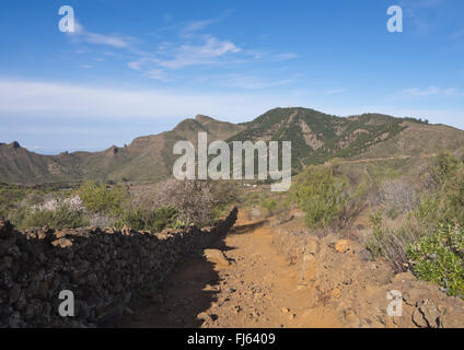 Sentier entre des murs en pierre dans les montagnes au-dessus de Santiago del Teide, Tenerife, Espagne, une partie de la fleur d'amande randonnée pédestre Banque D'Images