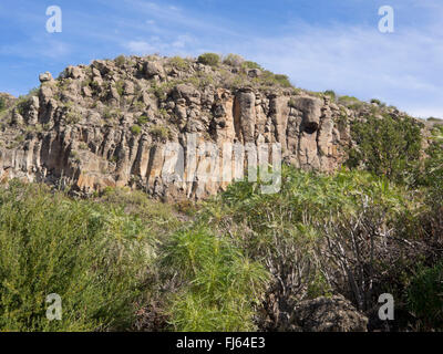 La formation de la roche basaltique ressemblant à des tuyaux d'orgue vu en randonnée au-dessus de la vallée de Arriba en Tenerife Espagne Banque D'Images