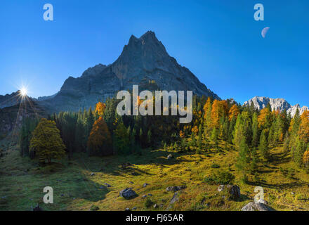 Vue sur le grand Ahornboden dans le sens de l'Eiskarlspitze group au lever du soleil, l'Autriche, le Tyrol, Karwendel Banque D'Images