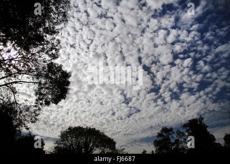 Stratiformis Altocumulus translucidus, Allemagne Banque D'Images