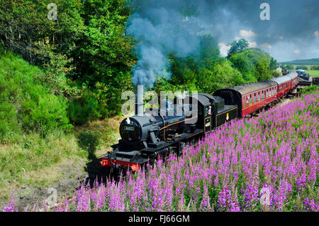 Classe 2MT Ivatt 2-6-0 locomotive vapeur 46512 strathspey steam railway, Royaume-Uni, Angleterre, Broomhill Banque D'Images