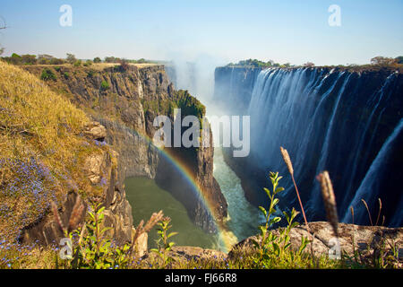 Les chutes Victoria, la nature mondiale du patrimoine, Zambie, Victoria Falls National Park Banque D'Images