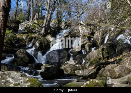 Becky Falls, Dartmoor, dans le Devon. Banque D'Images