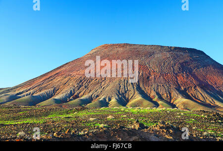 Roja de montagne près de La Caleta, Canaries, Fuerteventura Banque D'Images