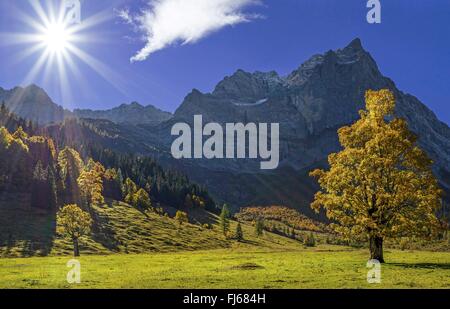 Vue sur le grand Ahornboden dans le sens de l'Eiskarlspite group au lever du soleil, l'Autriche, le Tyrol, Karwendel Banque D'Images