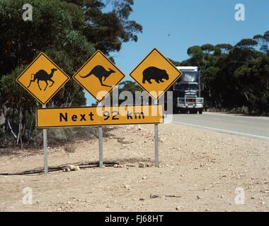 Panneau d'avertissement pour les chameaux et les kangourous et les wombats, Australie Banque D'Images