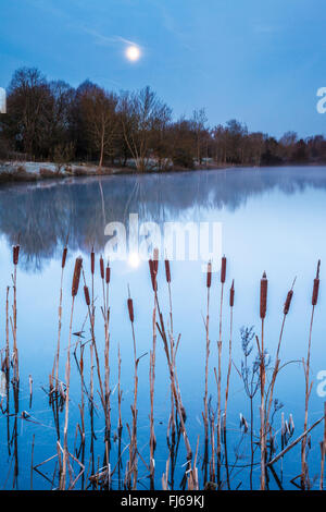 Un matin d'hiver glacial sur l'un des lacs à Cotswold Water Park Banque D'Images