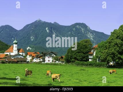 Vue sur Eschenlohe sur l'Ettaler Manndl, Allemagne, Bavière, Oberbayern, Upper Bavaria, Ammergebirge Banque D'Images