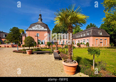 Chanvre chinois (palm, Trachycarpus fortunei Trachycarpus excelsa), le château de Wickrath, Allemagne, Rhénanie du Nord-Westphalie, Bas-rhin, Moenchengladbach Banque D'Images