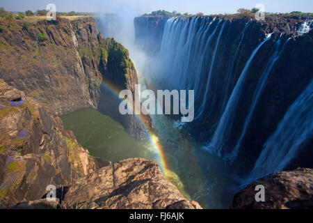 Les chutes Victoria, la nature mondiale du patrimoine, Zambie, Victoria Falls National Park Banque D'Images