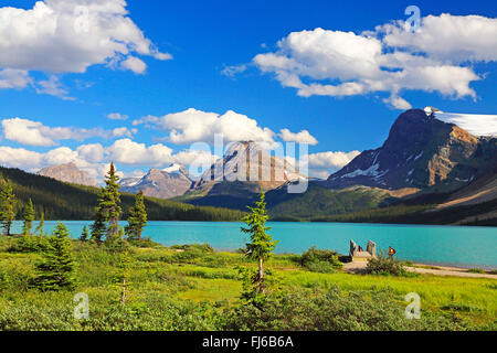 Le lac Bow, Canada, Alberta, parc national de Banff Banque D'Images