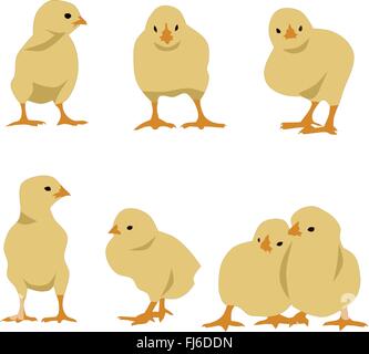 Ensemble de poulets, vector Illustration de Vecteur