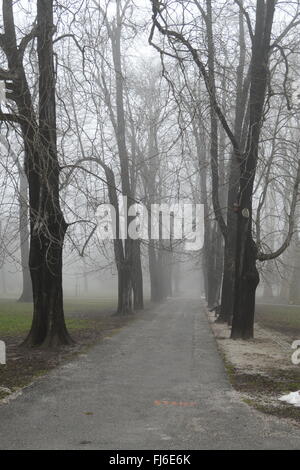 Pont sur la rivière Drava avec une fontaine Banque D'Images