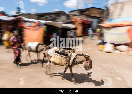 Les gens du marché local de l'Harar trading, l'Éthiopie, Afrique du Sud Banque D'Images