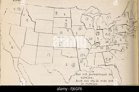 Les maladies des cultures fourragères et céréalières aux États-Unis en 1924 (1925) Banque D'Images