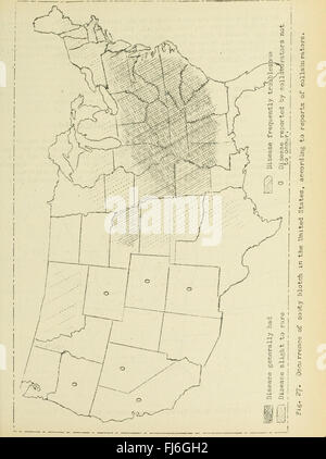 Les maladies des cultures fruitières dans les États-Unis en 1919 (1920) Banque D'Images