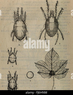 Dong BEI Nong Zuo Wu Hai Chong tu Shuo (1959.10), un ouvrage chinois détaillant les systèmes agricoles et écologiques de la région du nord-est de la Chine, avec un aperçu de l'agriculture et de la vie des insectes. Banque D'Images