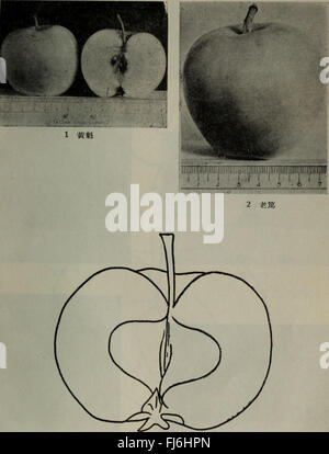 Dong BEI ping guo pin zhong Jie shuo (1957.11), recherche botanique chinoise Banque D'Images