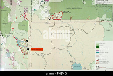 Projet d'étude d'impact environnemental pour le plan de gestion des bisons interagences pour l'État du Montana et le Parc National de Yellowstone (1998) Banque D'Images