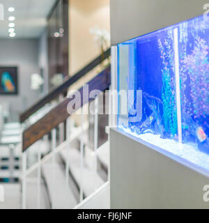 Office interior design avec aquarium Banque D'Images
