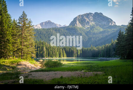 Petit lac dans le parc national du Durmitor, Zminje jezero Banque D'Images