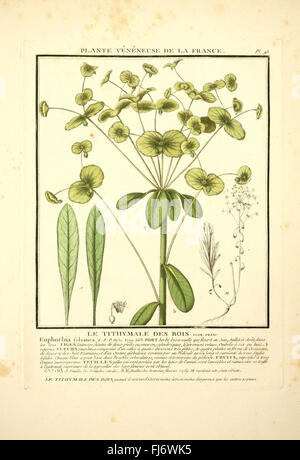 Herbier de la France (Pl. 95) Banque D'Images