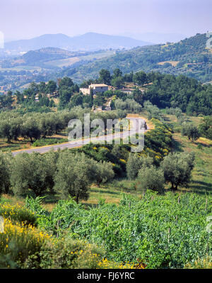 Route et paysage près d'Assise, Pérouse, Ombrie Province Région, Italie Banque D'Images