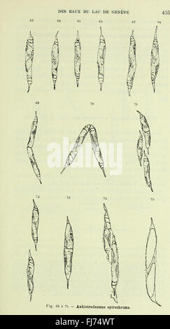 Archives des sciences physiques et naturelles (1919) Banque D'Images