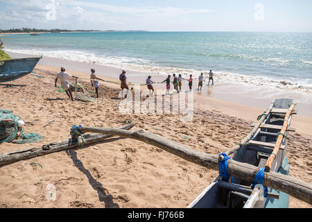 Les pêcheurs tirant sur le net à partir de la mer, Tangalle, au Sri Lanka, en Asie Banque D'Images