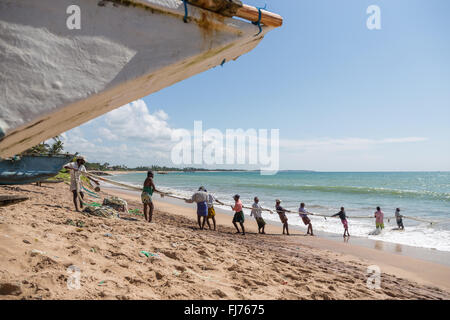 Les pêcheurs tirant sur le net à partir de la mer, Tangalle, au Sri Lanka, en Asie Banque D'Images