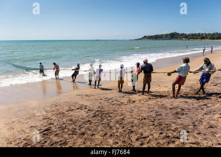 Les pêcheurs tirant sur le net à partir de la mer, Tangalle, au Sri Lanka, en Asie Banque D'Images