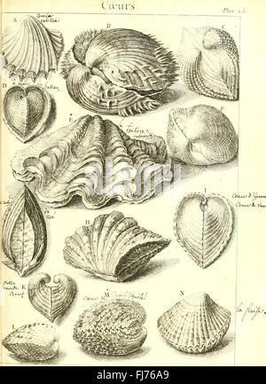 L'histoire naturelle C3A9claircie dans deux de ses parties principales, la lithologie et la conchyliologie - dont l'une traite des pierres et l'autre des coquillages - ouvrage dans lequel on trouve une Banque D'Images