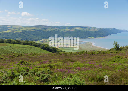 Porlock Bay Somerset England UK près de Exmoor avec gyrophares Selworthy purple heather sur le south west coast path Banque D'Images