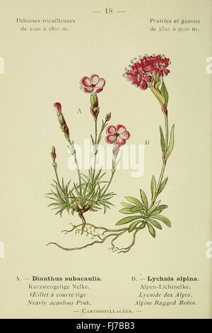 Nouvelle flore coloriée de poche des Alpes et des Pyrénées Banque D'Images