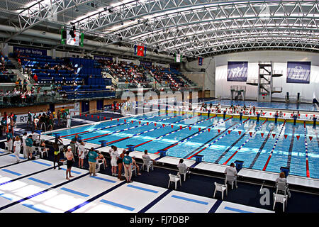 Les candidats à la baignade et les organisateurs à Abbottstown extérieure, Special Olympics Irlande Dublin 2003 Banque D'Images