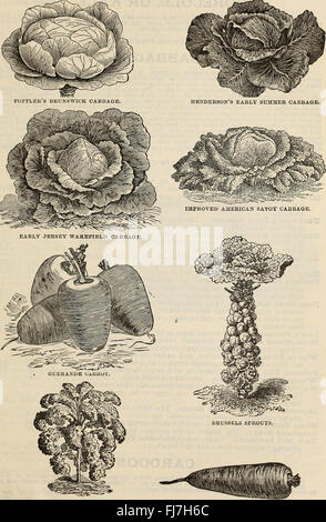 Un catalogue de 1894 détaillant des semences fiables, des plantes, des bulbes, des engrais et des outils pour l'horticulture et le jardinage Banque D'Images