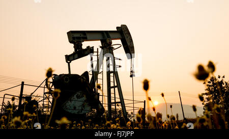 Pumpjack à un site de forage pétrolier et le coucher du soleil Banque D'Images