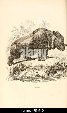 Un travail complet sur le règne animal, axé sur la classification, l'organisation et les relations évolutives des espèces animales, tenu aux bibliothèques de la Smithsonian institution. Banque D'Images