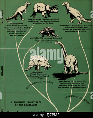 Le dinosaure livre - la décision de reptiles et de leurs proches (1945) Banque D'Images