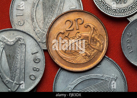 Coins de l'Irlande. Oiseaux d'ornement celtique irlandaise décrite dans le coin deux pence. Banque D'Images