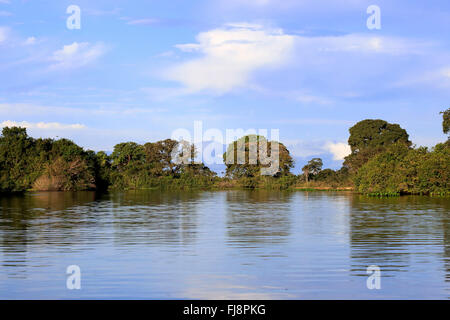 La rivière Pixaim Rio, Pantanal, les paysages le long de la rivière, Pantanal, Mato Grosso, Brésil, Amérique du Sud Banque D'Images