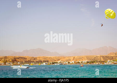 SHARM EL SHEIKH, EGYPTE - 23 février 2014 : Le parachutisme sur une mer, le remorquage d'un bateau : happy couple vole sur un parachute Banque D'Images