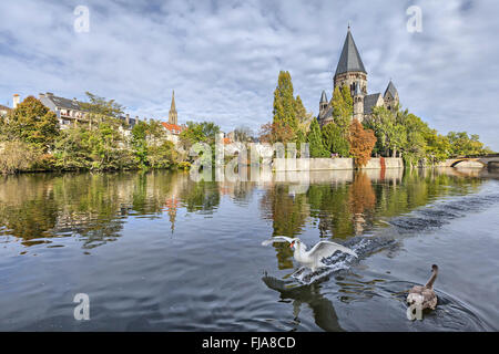 Temple Neuf de Metz se reflétant dans l'eau avec des cygnes blancs sur le premier plan, Metz, Lorraine, France Banque D'Images