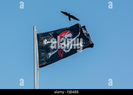 Drapeau pirate Jolly roger sur le drapeau poteau avec crow flying Banque D'Images