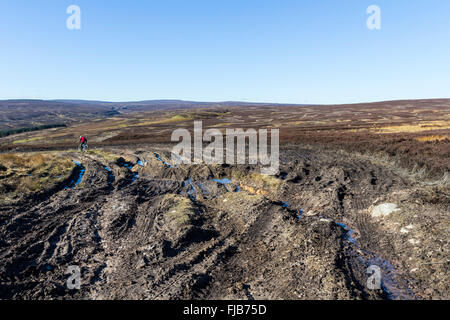 Dommages et l'érosion causée par 4x4 Véhicules tout terrain et les médecins Météo Gate Voie Verte Hamsterley Forest Weardale County Durham Banque D'Images