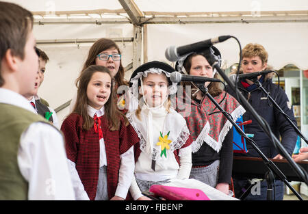 Carmarthen, pays de Galles, Royaume-Uni. 1st mars 2016. Carmarthen, pays de Galles, Royaume-Uni. 1st mars 2016. Garçon,garçons,fille,filles,enfant,enfants,élèves,étudiants, de l'école Nantgaredig en costume national du pays de Galles chantant des chansons en gallois à Guildhall Square, Carmarthenshire, pays de Galles, Royaume-Uni crédit: Paul Quayle/Alay Live News Banque D'Images