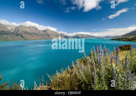 Lac Turquoise, Lac Wakatipu, Remarkables Otago montagnes derrière, près de Queenstown, province du sud, Nouvelle Zélande Banque D'Images