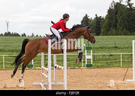 Vue de côté cavalière en rouge veste qui saute Banque D'Images