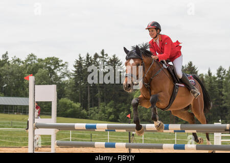 Libre Vue de côté cavalière en rouge veste qui saute Banque D'Images