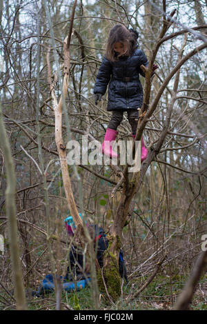 Young Girl climbing tree en bois. Un jeune enfant grimpe un arbre dans la forêt, tandis que sa soeur se trouve sur le sol au-dessous Banque D'Images